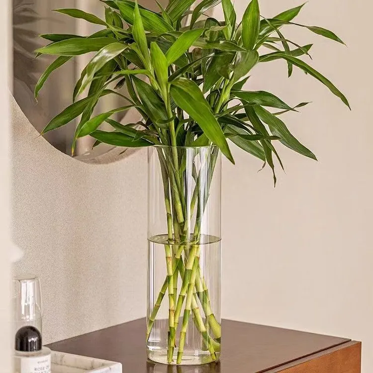 透明玻璃直筒家用富贵竹水养文昌竹龙柳雪柳落地水培百合插花龟背
