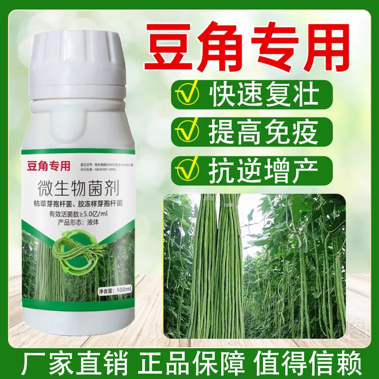 豆角种植好帮手提高豆角抗性调节生长抗性好快速复壮助力高产