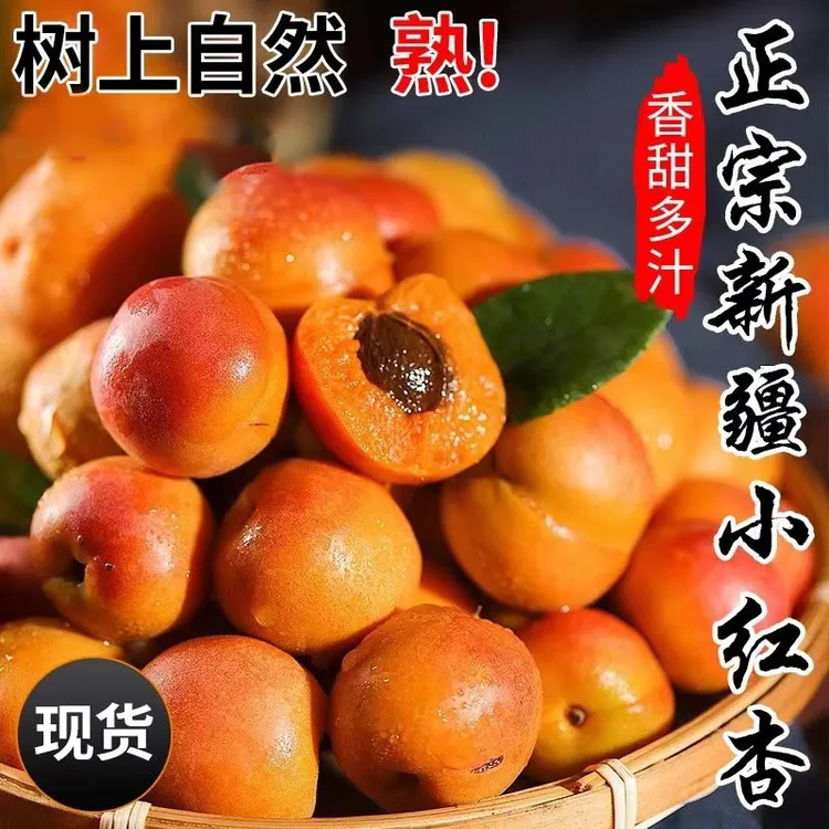 正宗新疆小红杏阿克苏当季新鲜水果纯甜杏子吊干杏3斤顺丰/jd包邮