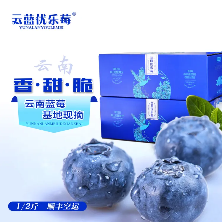 云南蓝莓新鲜蓝莓1/2斤正宗花香蓝莓应季水果脆甜全国顺丰包邮