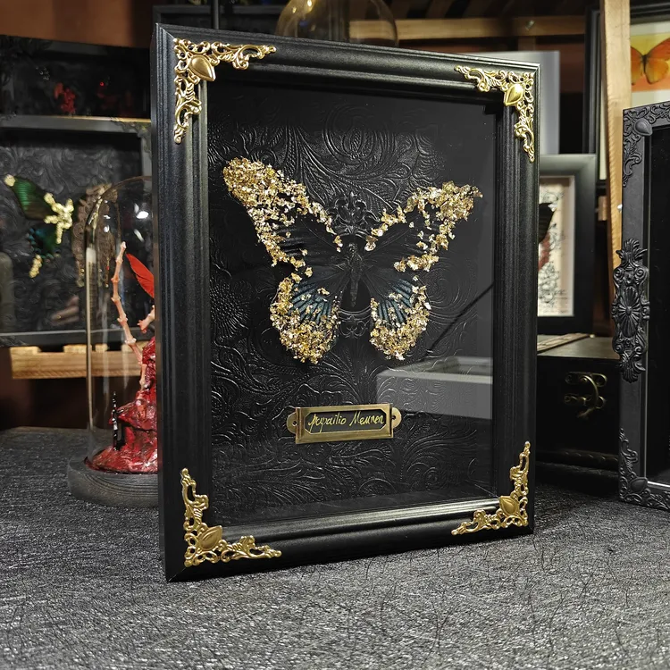 金箔真蝴蝶标本八寸欧式相框高级感复古手工礼物精美包装礼物