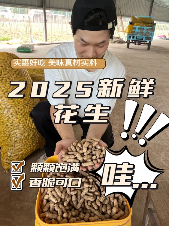 2025年河南新鲜四粒红带壳湿花生
