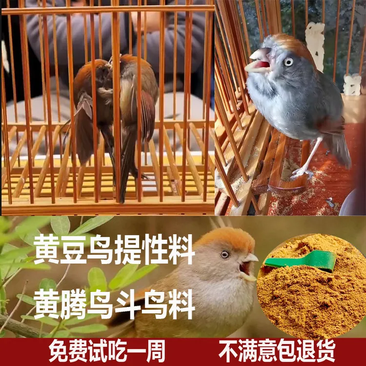 黄豆鸟食提性料壮膘营养鸟粮比赛饲料黄腾鸟专用鸟料