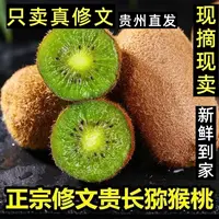 贵州修文贵长猕猴桃清甜多汁当季新鲜水果修文猕猴桃孕妇水果
