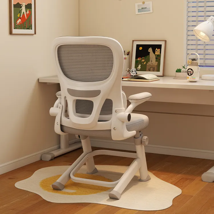 升降工学电脑椅子青年高初中学生专用写字书桌椅子儿童学习椅家用