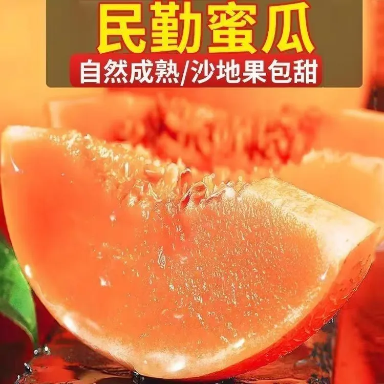 甘肃民勤沙漠蜜瓜金红宝甜瓜脆甜多汁产地现摘现发整箱包邮Z