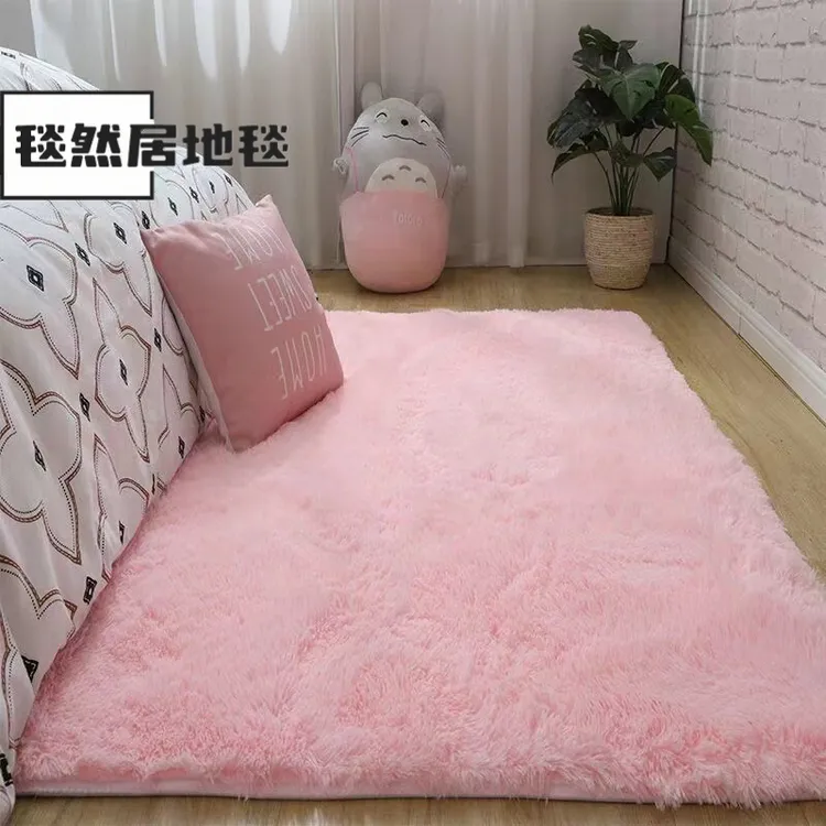 地毯客厅房地垫卧室少女耐脏网红床边毛毯门垫高级地毯床边毯毛绒