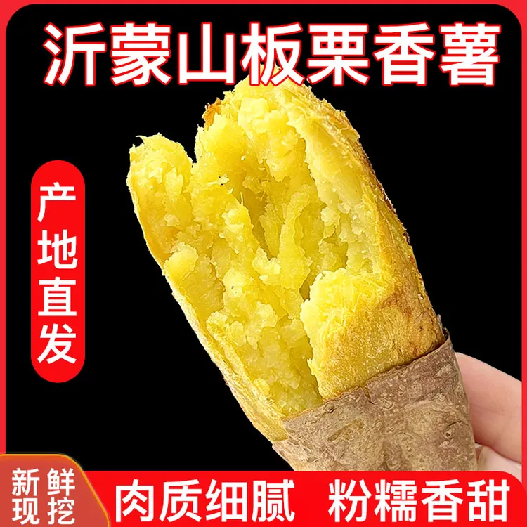 正宗山东板栗红薯软糯香甜黄心红薯新鲜现挖农家沙地番薯蜜薯