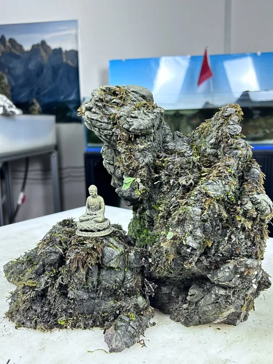 流水流沙  龟纹石（造景石）