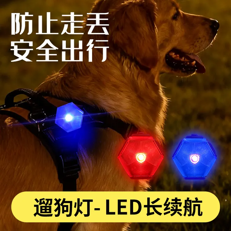 狗狗发光狗项圈宠物夜光遛狗灯狗圈颈圈夜间大型犬小型犬发亮充电