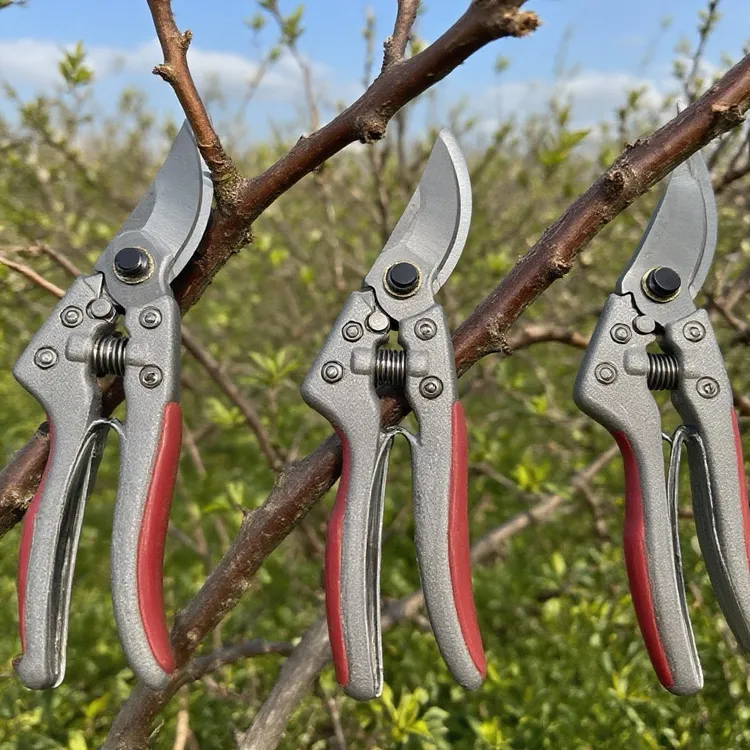 耐用多功能剪树剪子果树花卉花枝修枝剪家用省力工具剪枝修花果剪