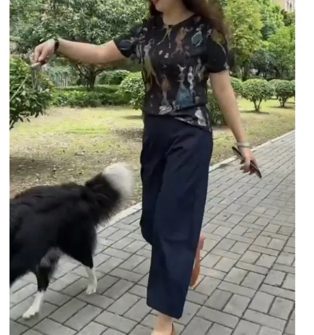 时尚潮流百搭精品女装dgd216