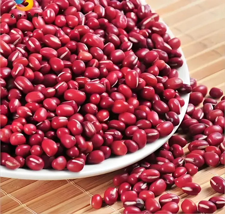 2025沂蒙山农家新红小豆软糯出沙熬粥豆沙包红小豆