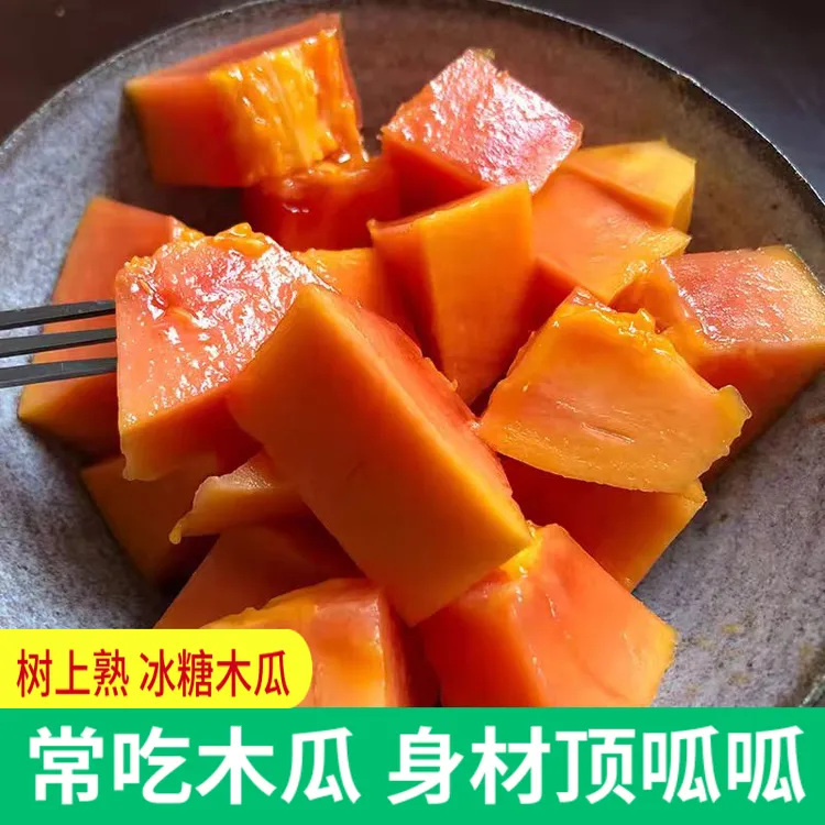 【树上熟 雷州冰糖红心木瓜】 当季老树新鲜牛奶水果8/5/3斤包邮
