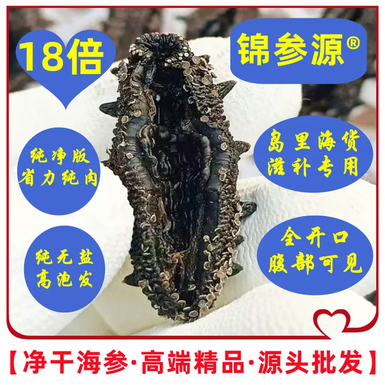 【全开口·纯净版·纯无盐·野款】干海参泡发16-20倍高端精品源头批发