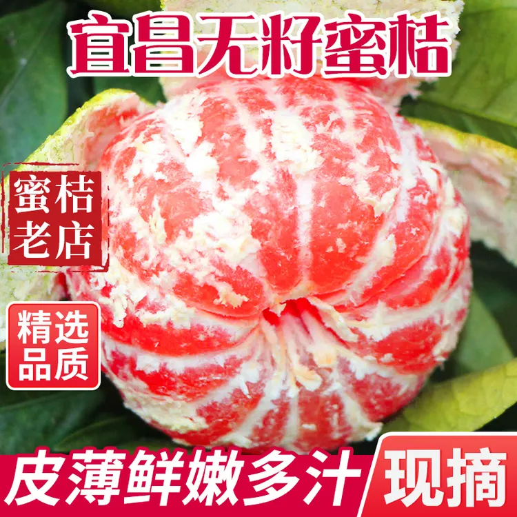 【树上自然熟】宜昌无籽蜜橘青皮蜜桔酸甜应季新鲜水果现摘整箱包邮