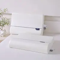 品牌代工直发/颈锥安抚枕/R字型pro酒店同款慢回弹波浪记忆枕（多