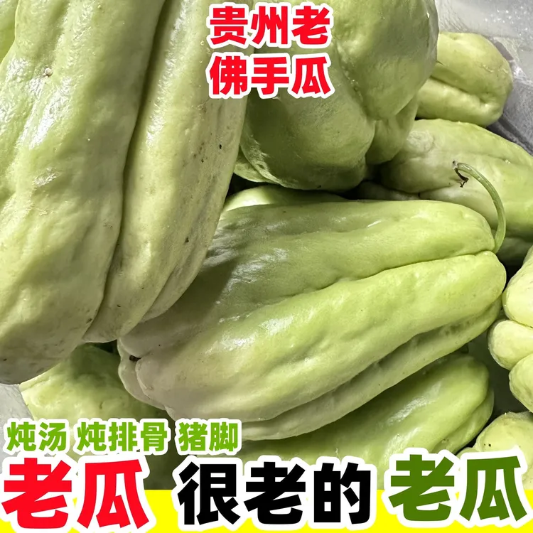 贵州高山现摘新鲜佛手瓜清甜多汁炒菜炖汤老瓜蔬菜