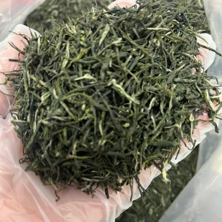 湖北红安特产2025年新茶天台山明前眉茶毛尖茶浓香型口粮茶