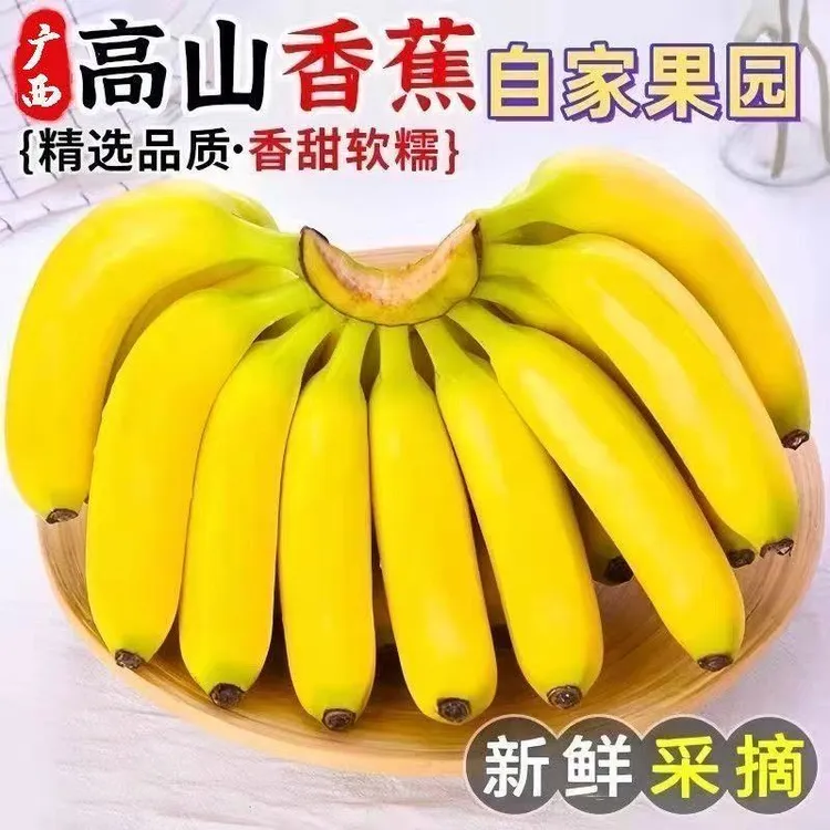 【粉丝福利】广西高山甜香蕉当季新鲜水果9斤5斤1斤产地粉芭蕉批发商品图