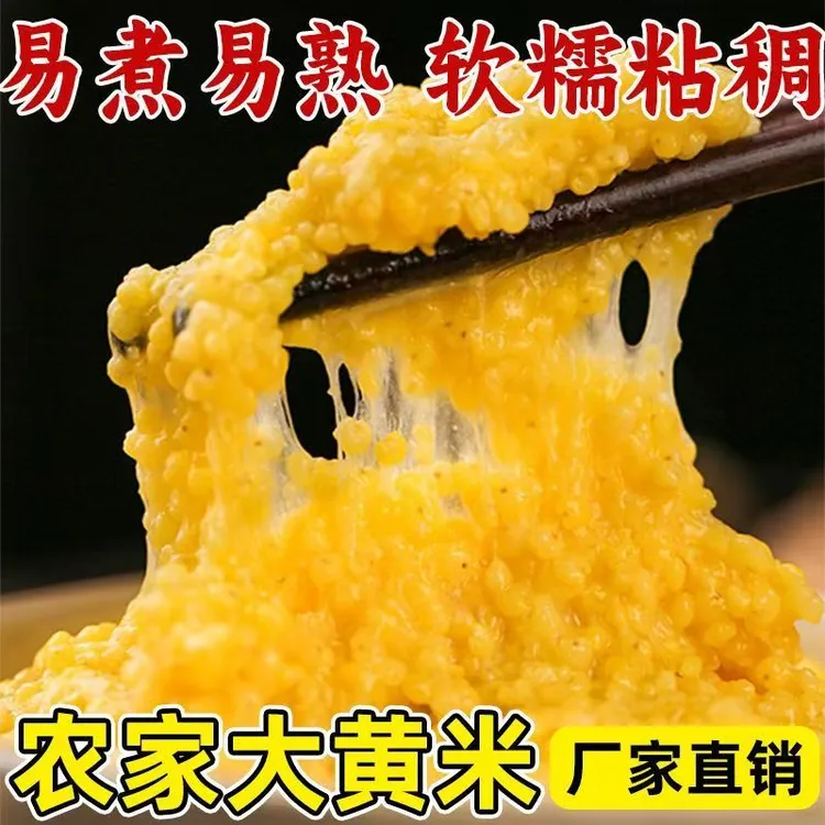 【到手5斤】大黄米25年农家新糯米黍粘米饭黄米包粽子软米新米杂粮商品图