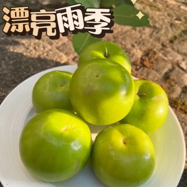 西双版纳正宗苹果枣纯甜爽口多汁现货新鲜高端水果核小肉厚
