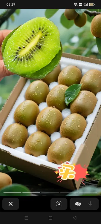 陕西眉县绿心徐香猕猴桃现摘新鲜水果鲜香甜多汁应季水果礼盒24枚