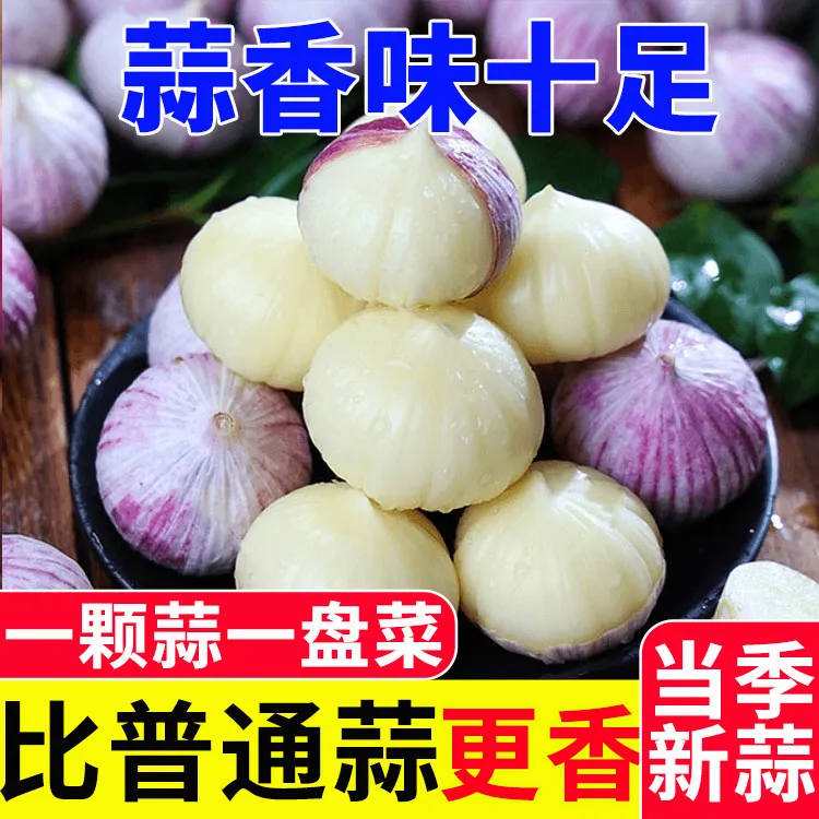 2026鲜蒜紫皮独头大蒜湿蒜头新鲜批发紫皮独蒜农产品生鲜特产新蒜商品图