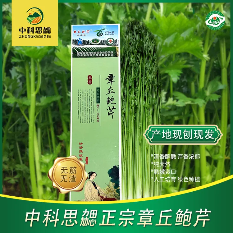 正宗章丘鲍芹原产地直发无丝无渣3斤礼盒装