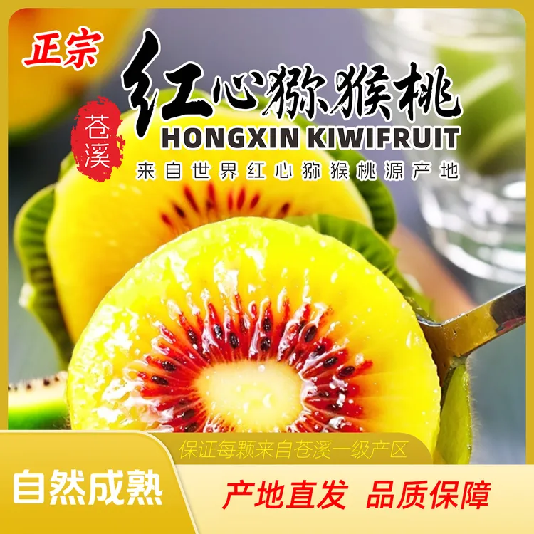 【送礼推荐】正宗苍溪红心猕猴桃 应季猕猴桃每颗来自苍溪一级产区
