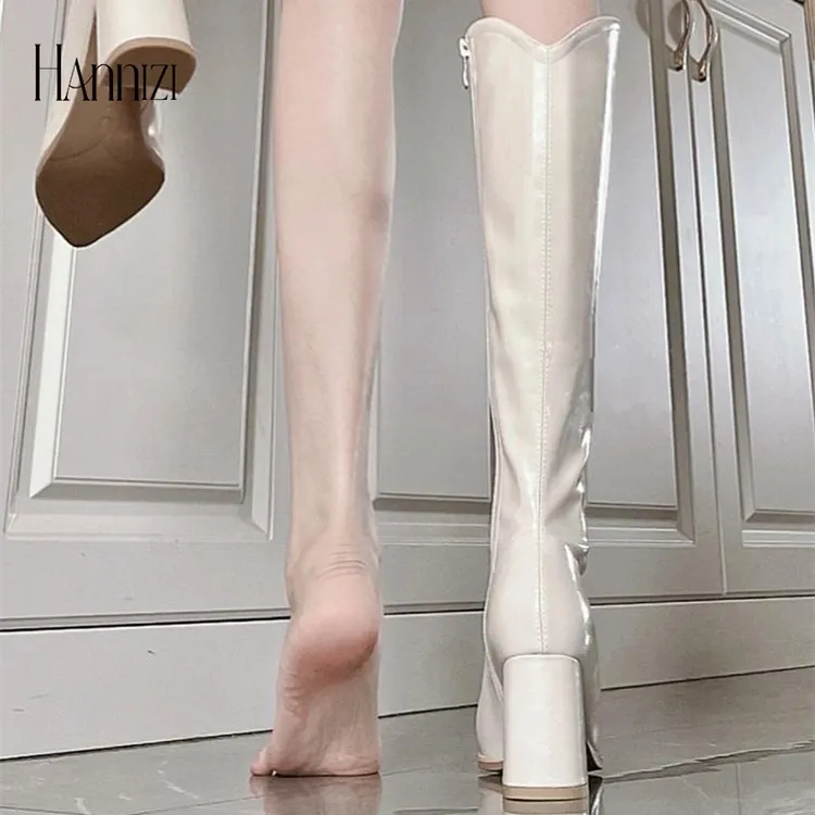 hannizi长靴女春秋轻奢高跟靴尖头高筒气质骑士靴显瘦粗跟长筒靴