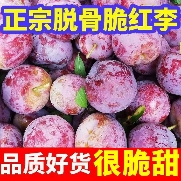 正宗四川脱骨小脆红脆红李半边红茵红李新鲜应季青脆李空心脱骨李