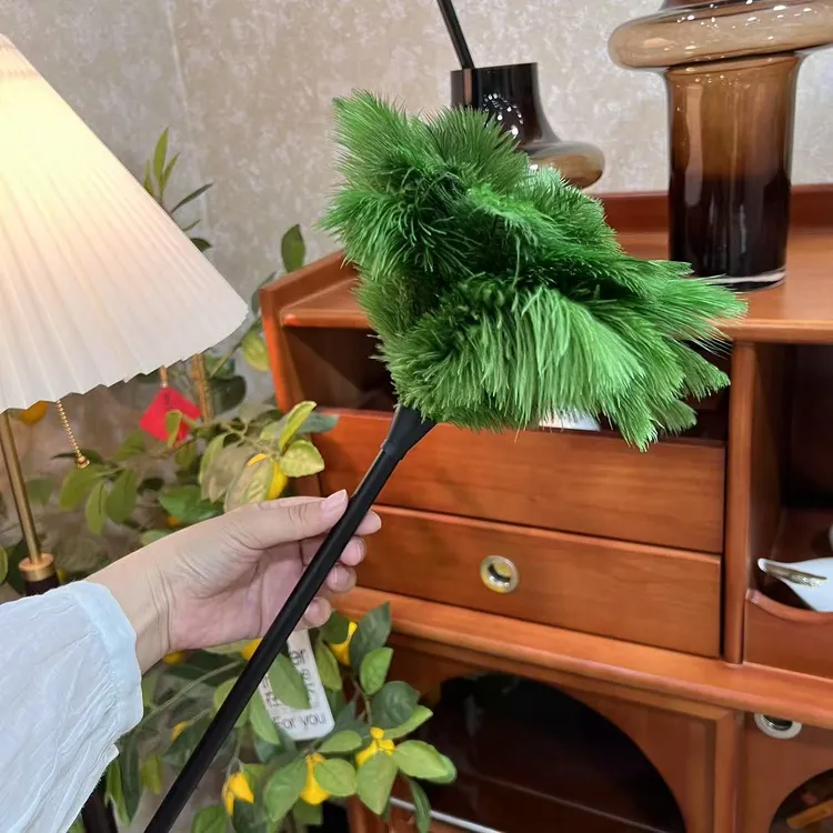 小清新绿色鸵鸟毛掸子家用清洁除尘加厚不易掉毛