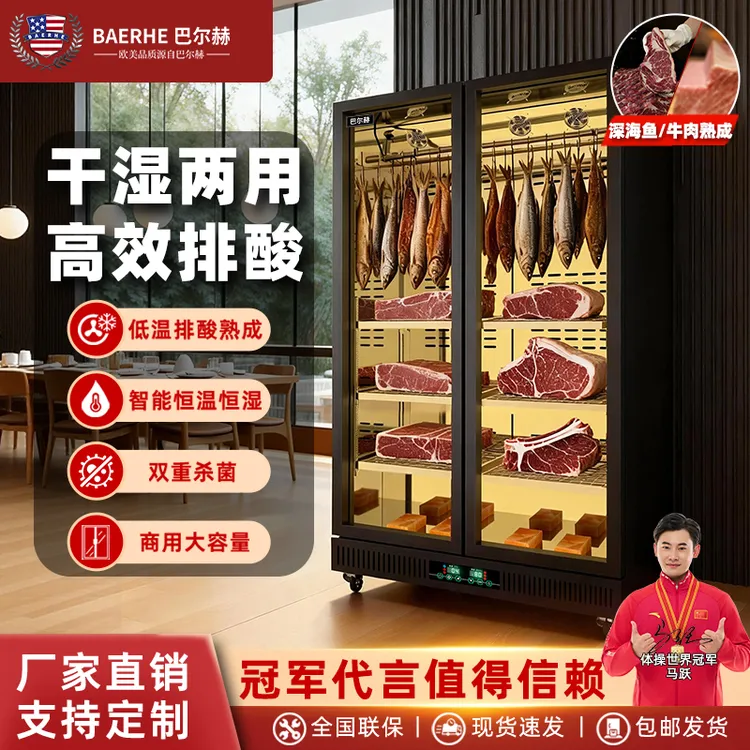 巴尔赫 干式熟成柜商用湿式牛肉牛排酸柜深海鱼展示柜商用熟成
