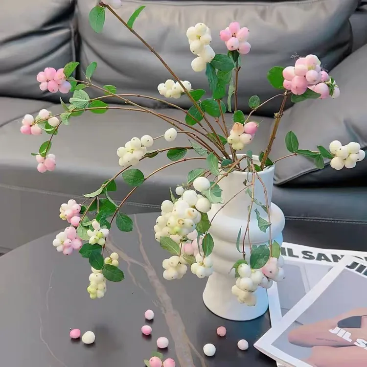 新鲜雪果鲜切枝室内水培植物家用插花云南鲜花基地直发雪果鲜花