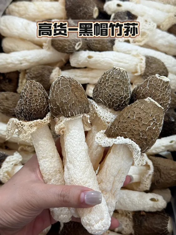 无熏硫 黑帽竹荪 厚肉耐煮不易碎(好货高货)