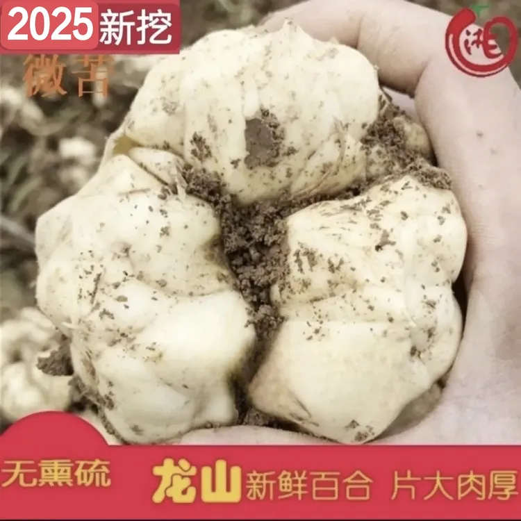 1斤包邮龙山正品食用鲜百合无添加剂现挖现发大片苦百合 微苦百合