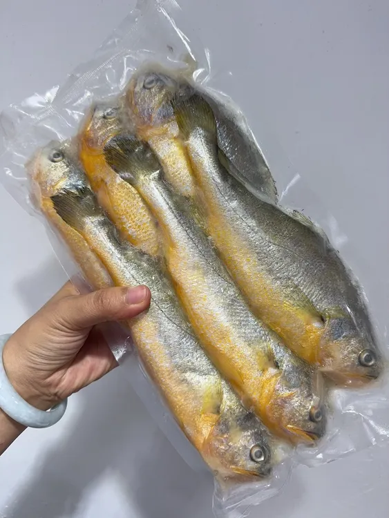 新鲜速冻发货精品黄鱼肉质鲜美