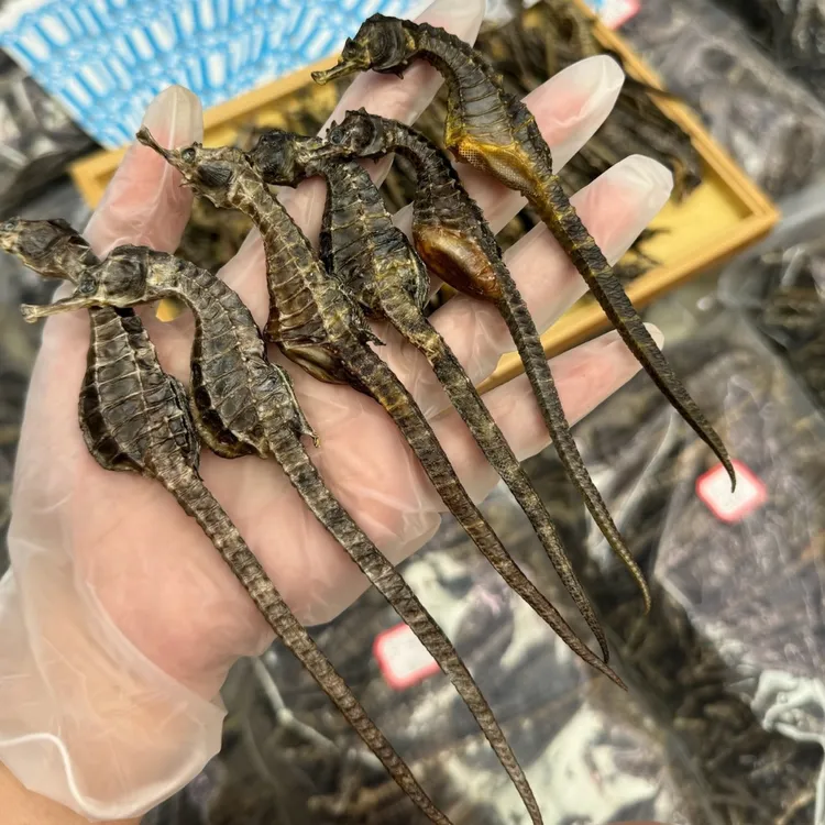 海马干货公母搭配可煲汤泡酒浸酒正品保真(无汤料包搭配)正宗