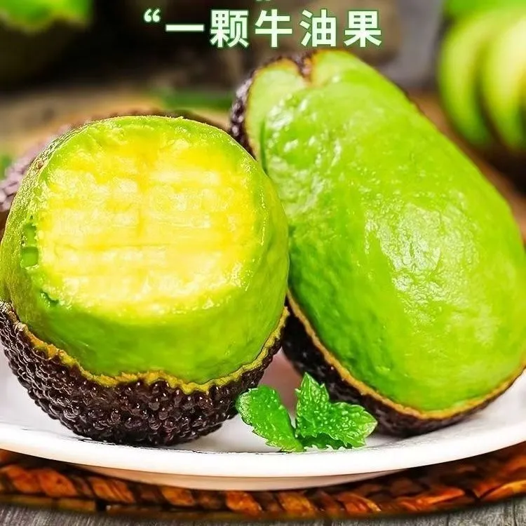 【云南孟连】云南高山哈斯牛油果国产鳄梨宝宝辅食牛油果产地直发