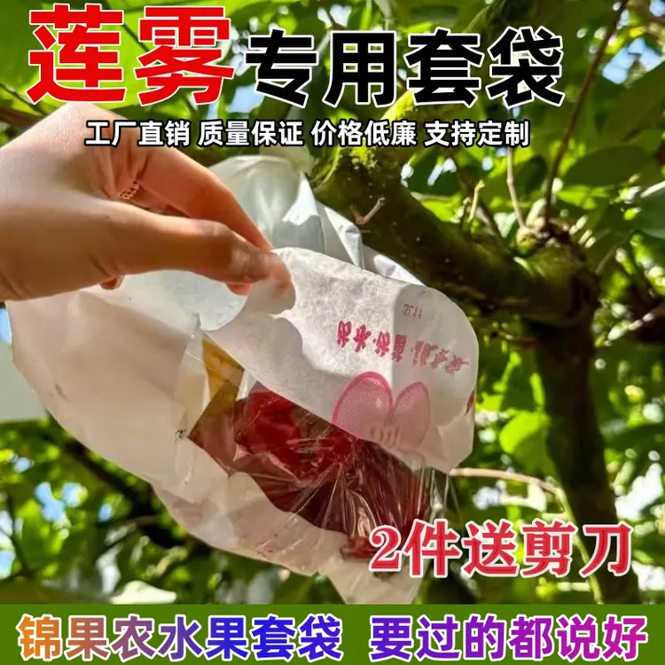 莲雾套袋专用袋释迦袋防虫袋日光袋袋子方便观察生长状态防水防虫