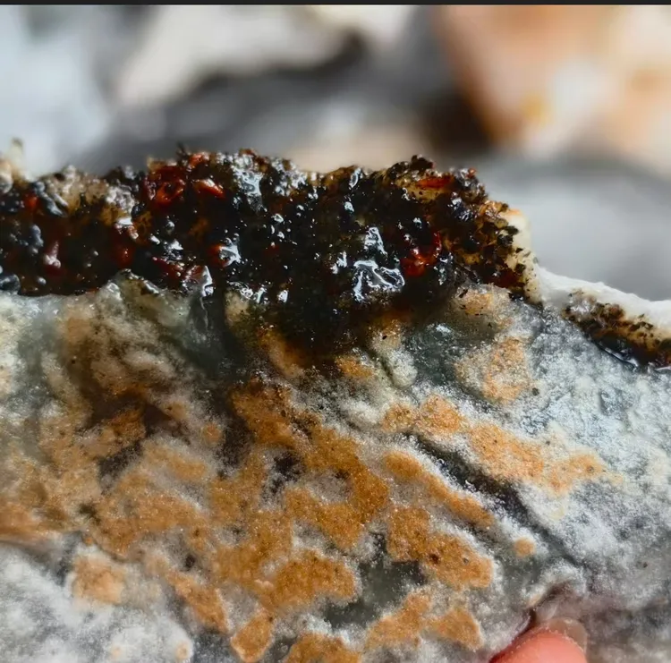 黑芝麻糯米粿 五个装（甜味）黄山地方特色传统小吃 徽州手工挞粿