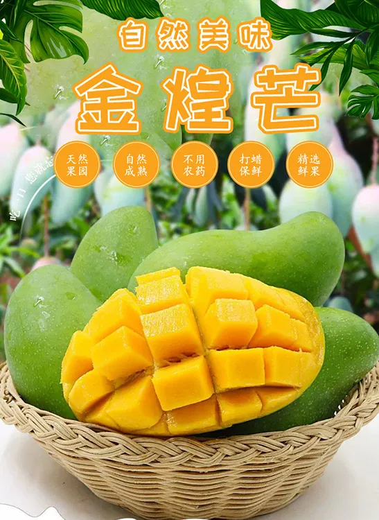 正宗广西百色青皮金煌芒新鲜应季水果现摘现发味道浓郁8斤5斤3斤