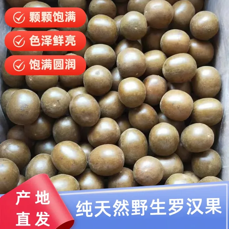 正宗广西桂林深山纯天然野生罗汉果干果批发搭配泡茶罗汉果茶干果