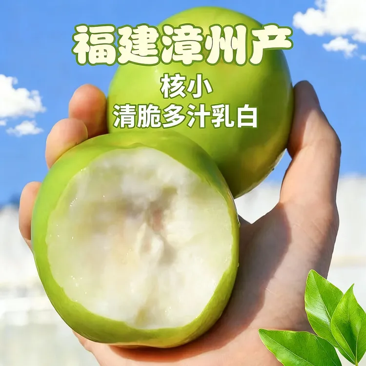 福建漳州贵妃牛奶枣香脆清甜当季树熟水果蜜枣甜新鲜水果坏果包赔商品图