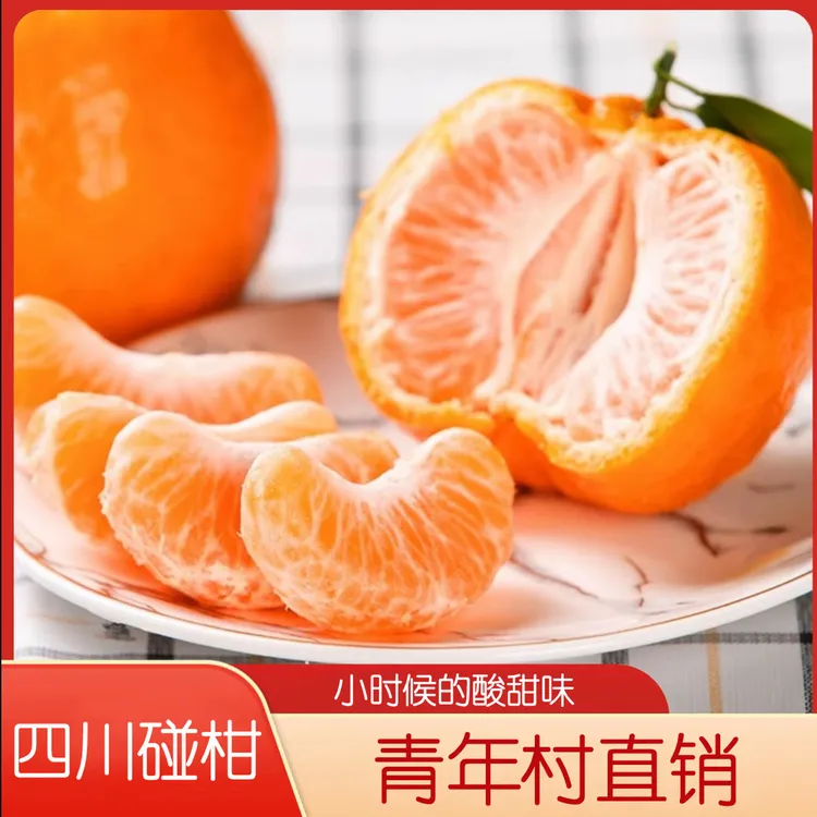 【老品种碰柑】正宗四川高山碰柑芦柑碰柑新鲜水果现摘高山橘子桔子