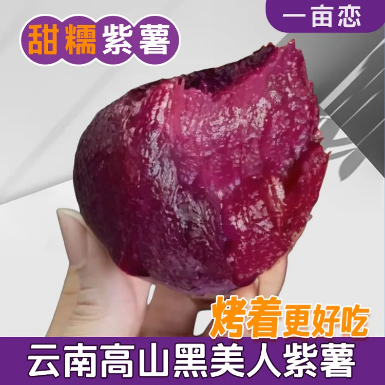 【为烤而生的紫薯】云南紫美人紫薯软糯香甜满满花青素烤着吃的紫薯