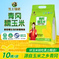 新包装2025年新黄甜糯玉米黑龙江青冈绿色食品10支试吃两支大棒