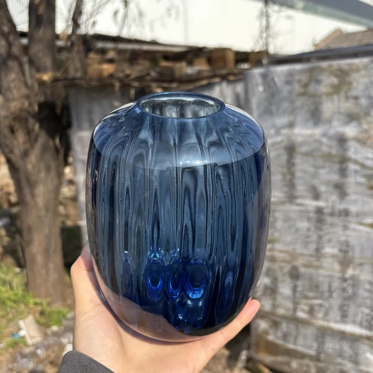 简约大肚玻璃花瓶客厅装饰插花水养花器摆件