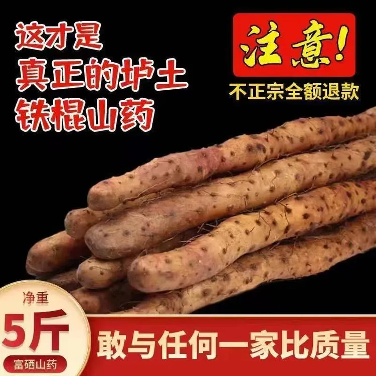 温县正宗铁棍山药河南焦作怀山药非淮山铁杆怀山新鲜蔬菜批发净重
